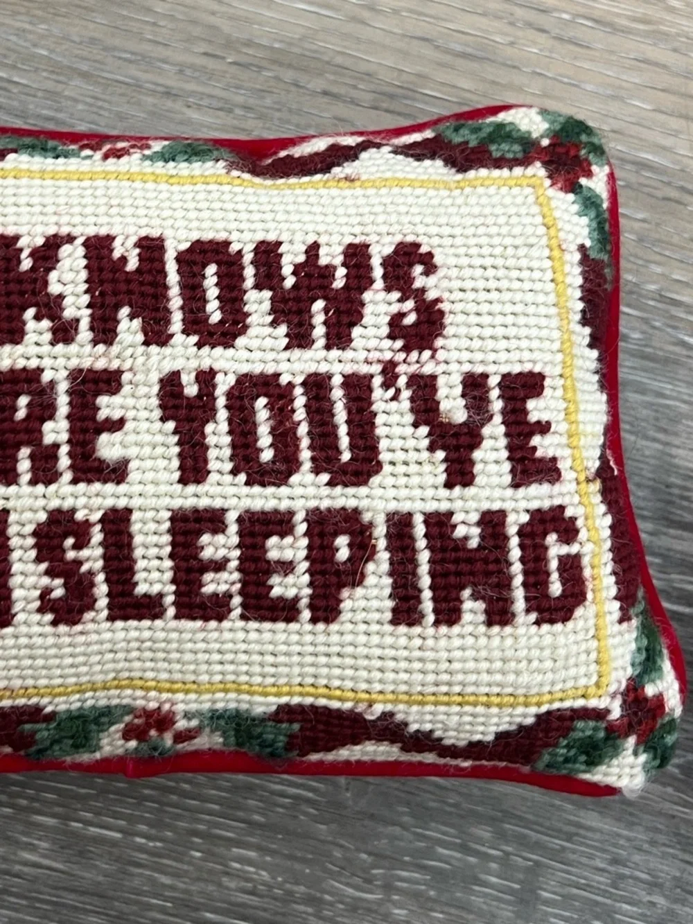 He knows where you’ve been sleeping needle point pillow